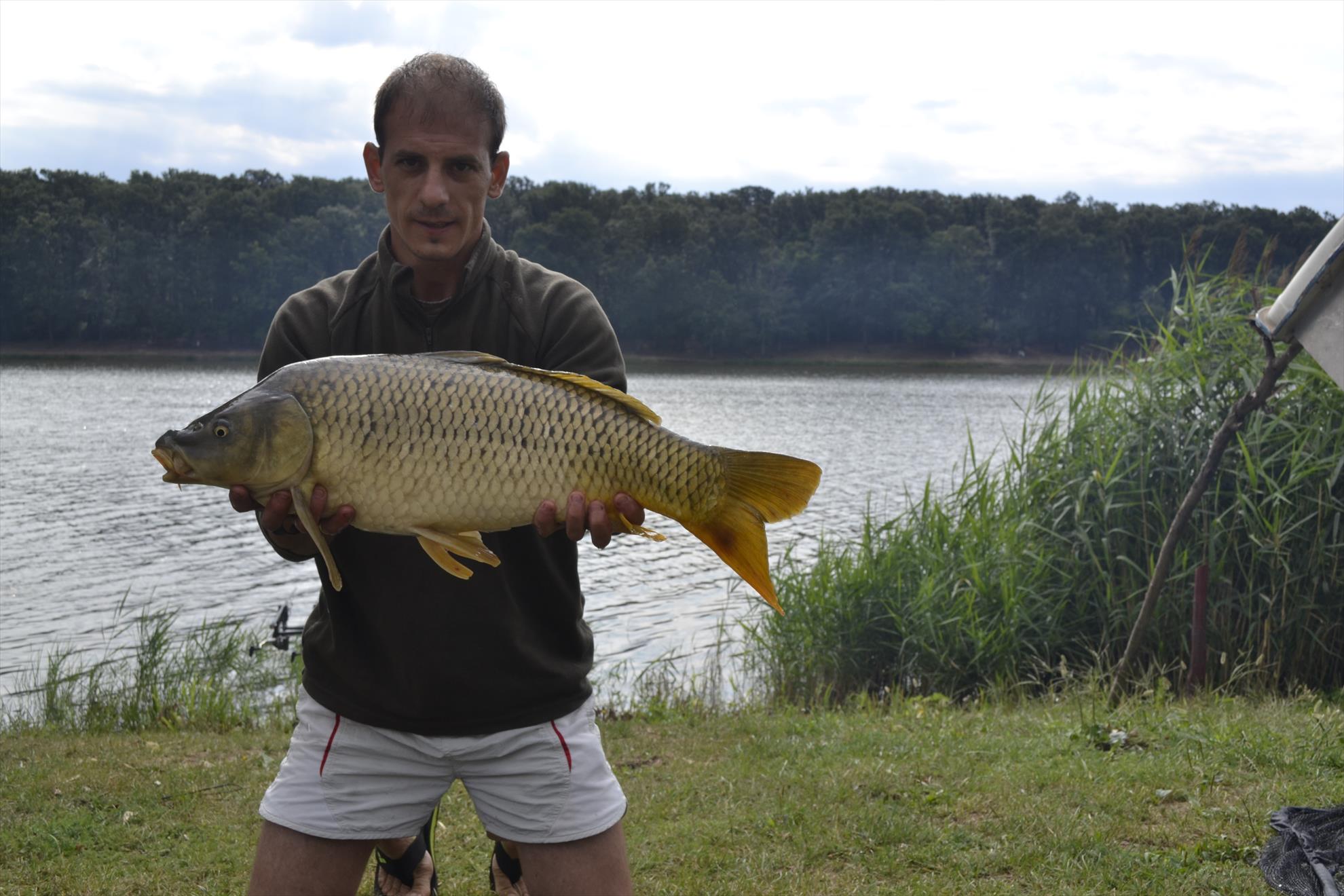 Lac cetariu Oradea  - 064.JPG